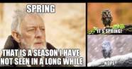 15 Memes That Accurately Sum Up Waiting For Spring TheThings