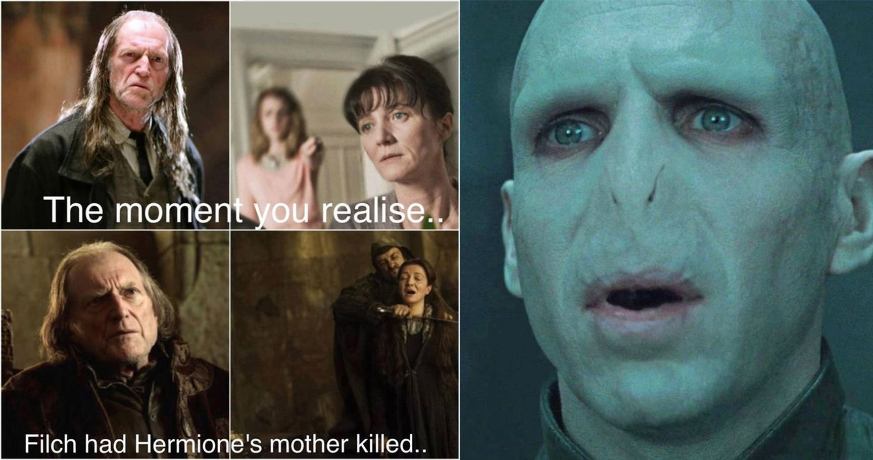 harry-potter-memes-that-will-make-you-question-life-thethings