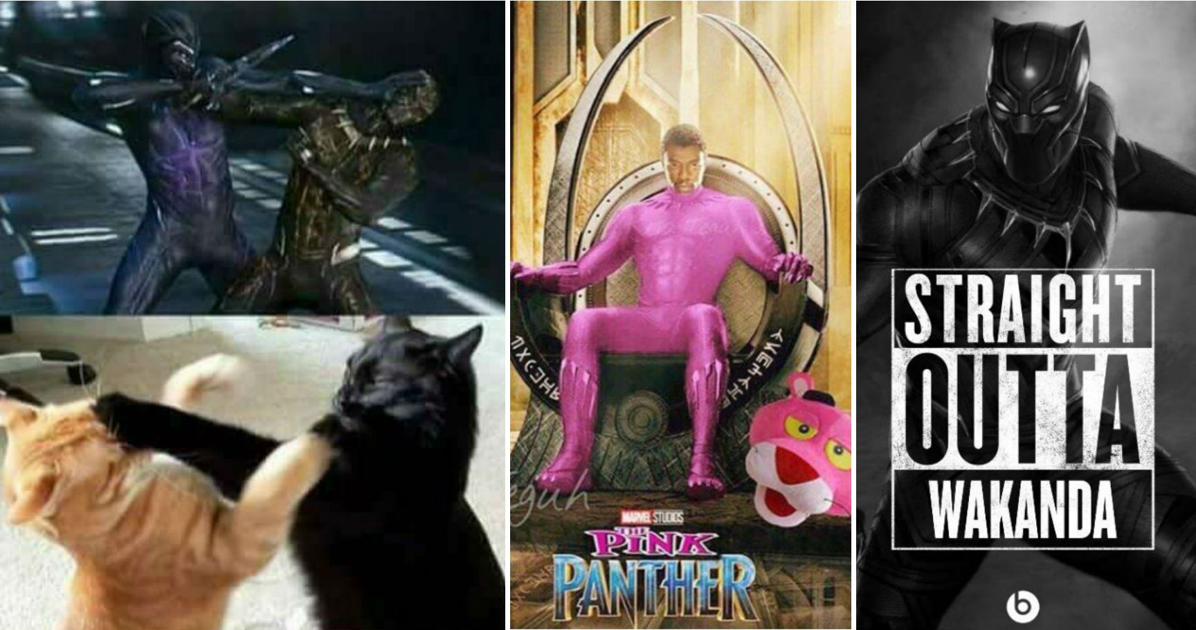 Hilarious Black Panther Memes That Make Us Hyped To See The Film