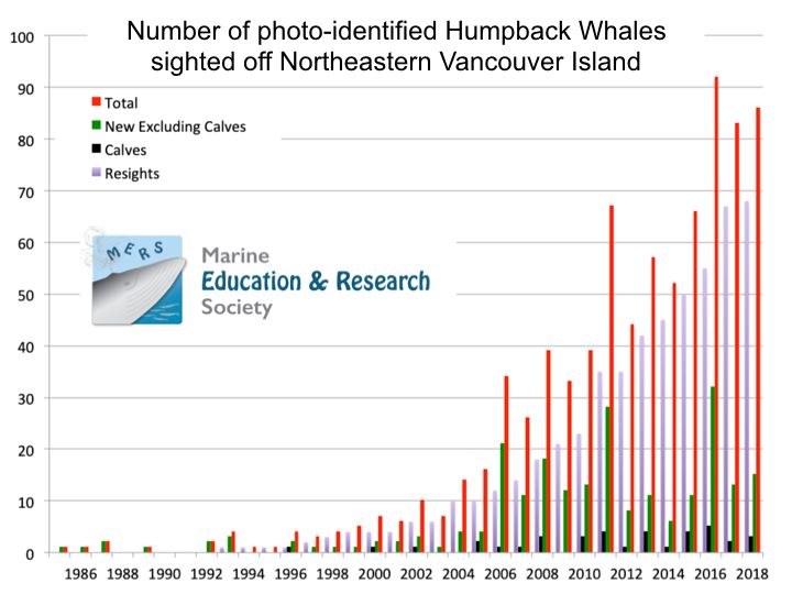 Humpback Whale Population Chart