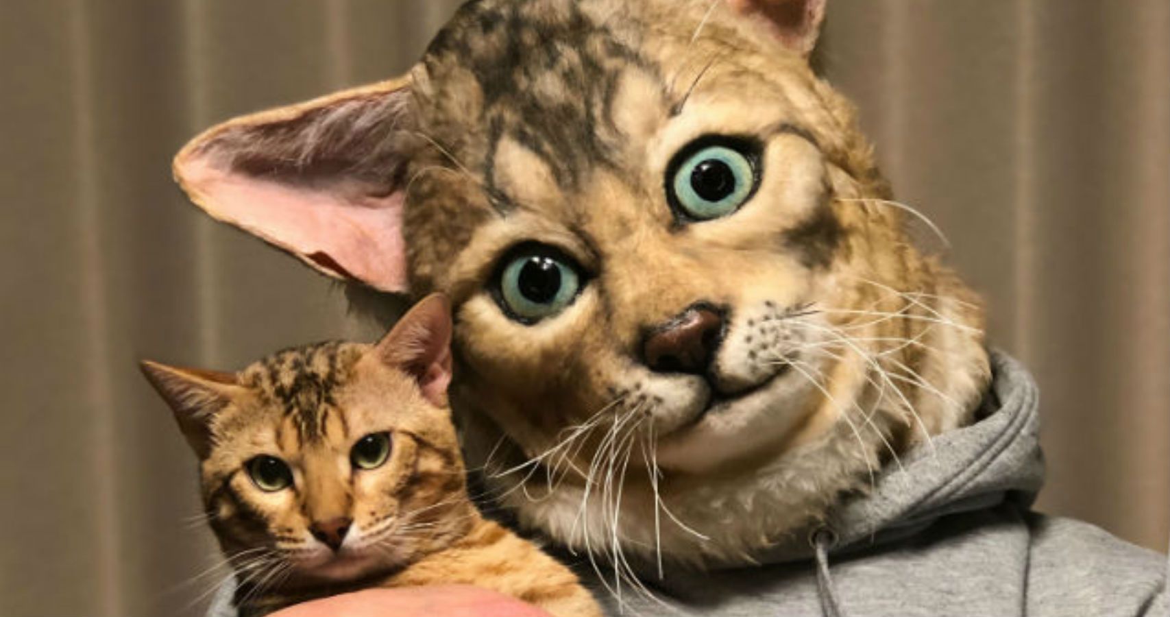You Can Now Your Cat Thanks To These Insanely Realistic Custom Heads