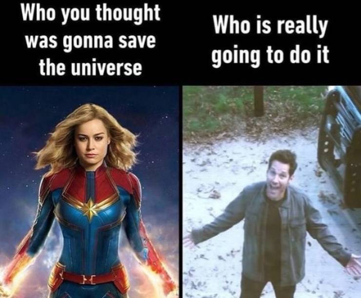 Ant Man Captain Marvel