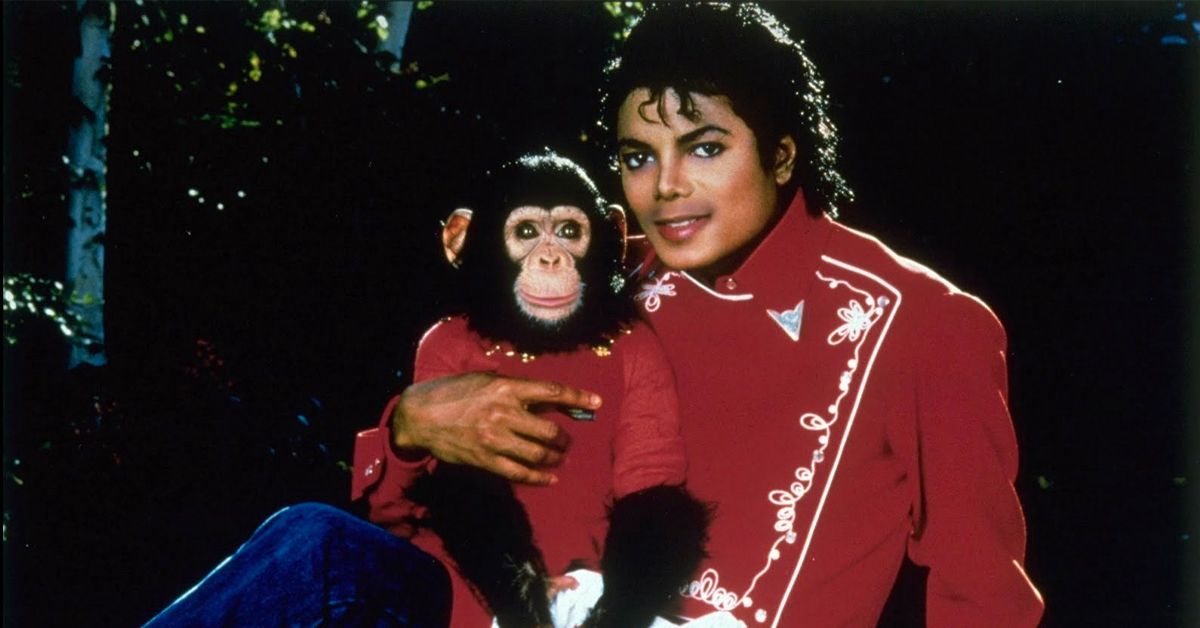 Michael Jackson Used To Own A Chimp... Here's Where It Is Now