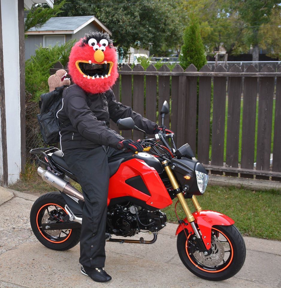 cookie monster bike helmet