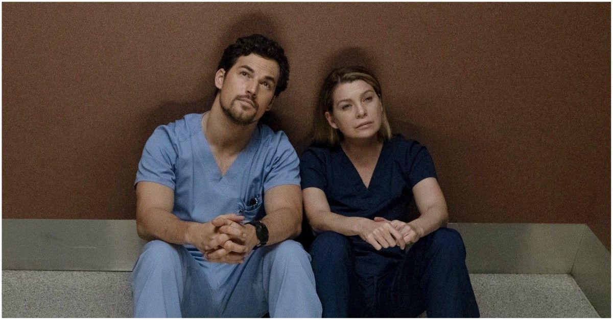 Greys Anatomy What Do Fans Think About Meredith And Delucas 20