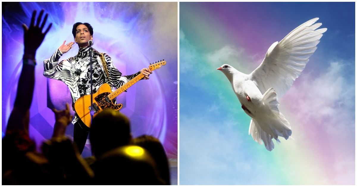 prince-had-a-long-history-with-doves-and-here-s-why-thethings